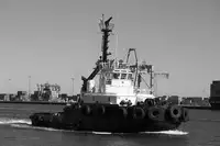 Tow boat pikeun dijual