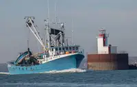 Kapal purse seiner keur dijual