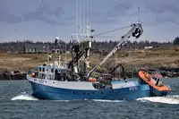 Kapal purse seiner keur dijual