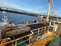 Pamawa bulk pikeun dijual