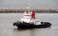 Tow boat pikeun dijual