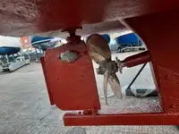 Kapal cutter keur dijual