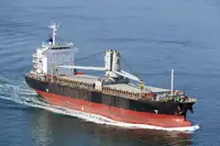 Pamawa bulk pikeun dijual