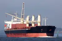 Pamawa bulk pikeun dijual