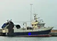 Kapal pikeun ngolah sareng ngantepkeun lauk keur dijual