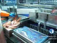 Kapal pancing trawler keur dijual
