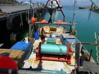 Trawler pikeun dijual