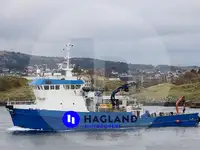 Sajongjongan teuleum pikeun dijual