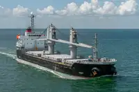 Pamawa bulk pikeun dijual