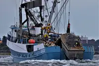 Kapal purse seiner keur dijual