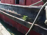 Kapal penarik keur dijual