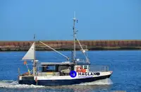Longliner pikeun dijual