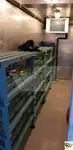 Kapal pesiar keur dijual