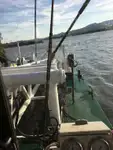 Kapal keruk keur dijual
