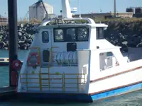 Kapal pendaratan, tangki keur dijual
