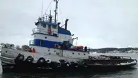Tow boat pikeun dijual