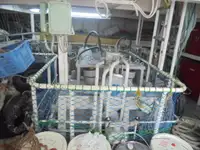 Kap patroli keur dijual