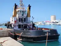 Tow boat pikeun dijual