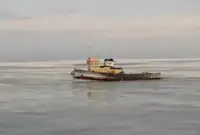 Tow boat pikeun dijual