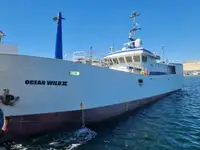 Longliner pikeun dijual