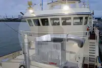 Kapal pangangkut lauk hirup keur dijual