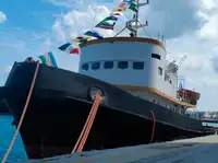 Tow boat pikeun dijual