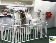 Kapal Ro-Ro keur dijual