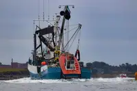 Kapal purse seiner keur dijual