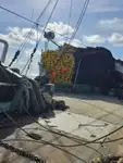 Kapal purse seiner keur dijual