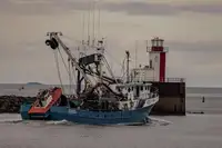 Kapal purse seiner keur dijual