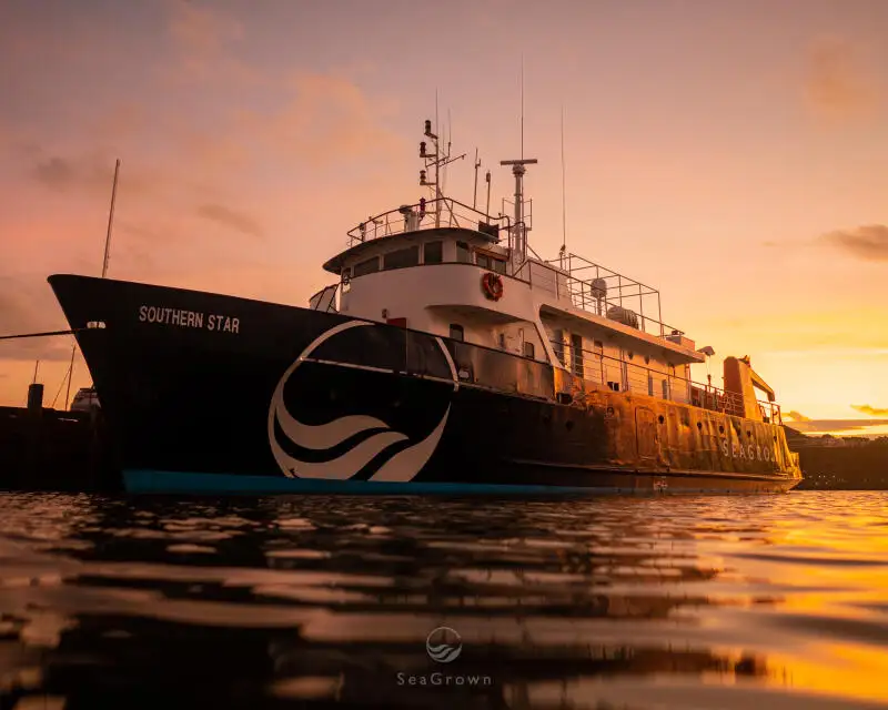 Kapal survei keur dijual
