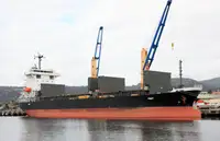 Pamawa bulk pikeun dijual