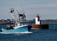 Purse seiner pikeun dijual