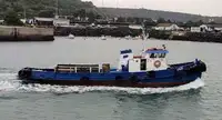Tow boat pikeun dijual