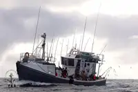 Kapal pancing trawler keur dijual
