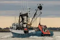 Kapal purse seiner keur dijual