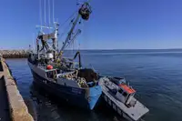 Kapal purse seiner keur dijual