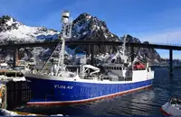 Purse seiner pikeun dijual