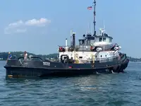 Tow boat pikeun dijual
