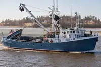 Purse seiner pikeun dijual
