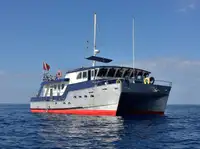 Tow boat pikeun dijual