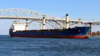 Pamawa bulk pikeun dijual