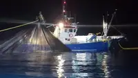 Kapal pancing trawler keur dijual