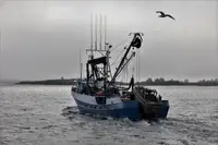 Kapal purse seiner keur dijual