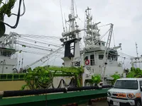 Kapal purse seiner keur dijual
