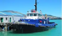 Tow boat pikeun dijual