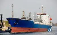 Reefer kapal pikeun dijual