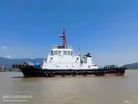Tow boat pikeun dijual