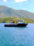 Tow boat pikeun dijual