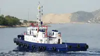 Tow boat pikeun dijual